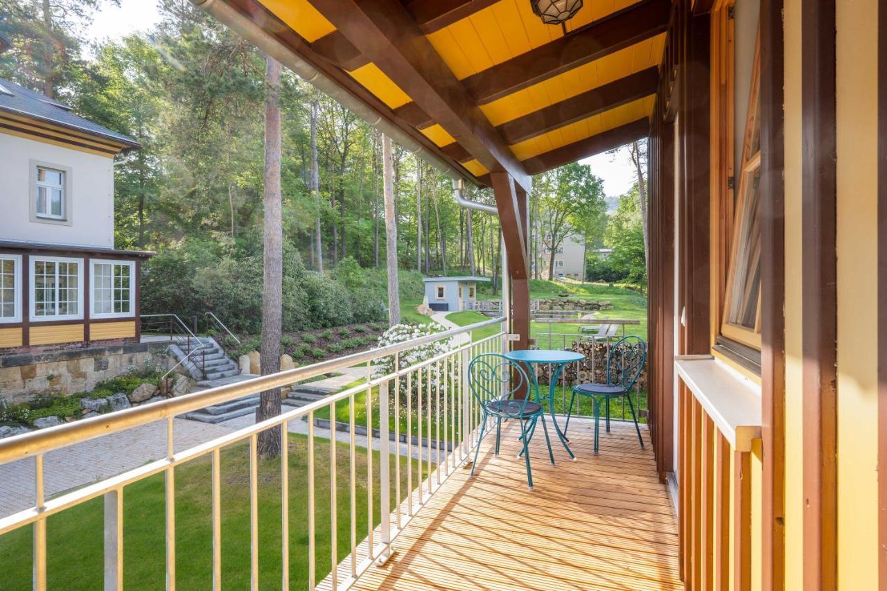 Waldidylle Gohrisch, Pension Und Ferienwohnungen Экстерьер фото