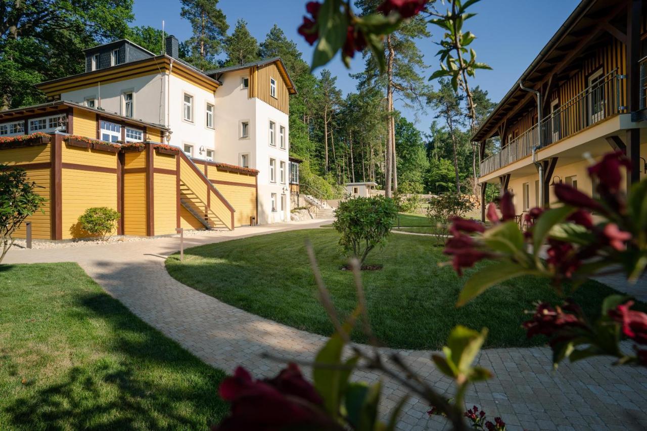 Waldidylle Gohrisch, Pension Und Ferienwohnungen Экстерьер фото