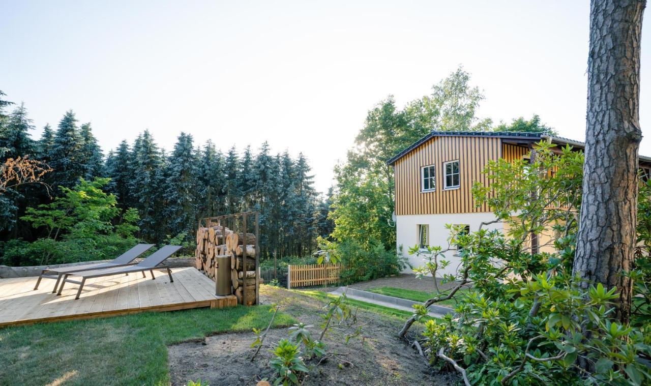 Waldidylle Gohrisch, Pension Und Ferienwohnungen Экстерьер фото