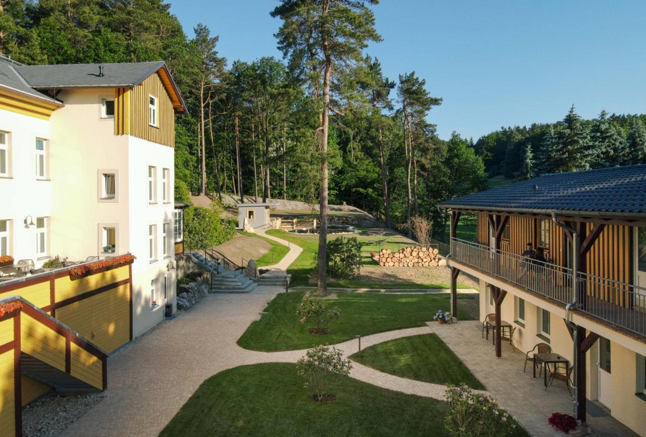 Waldidylle Gohrisch, Pension Und Ferienwohnungen Экстерьер фото