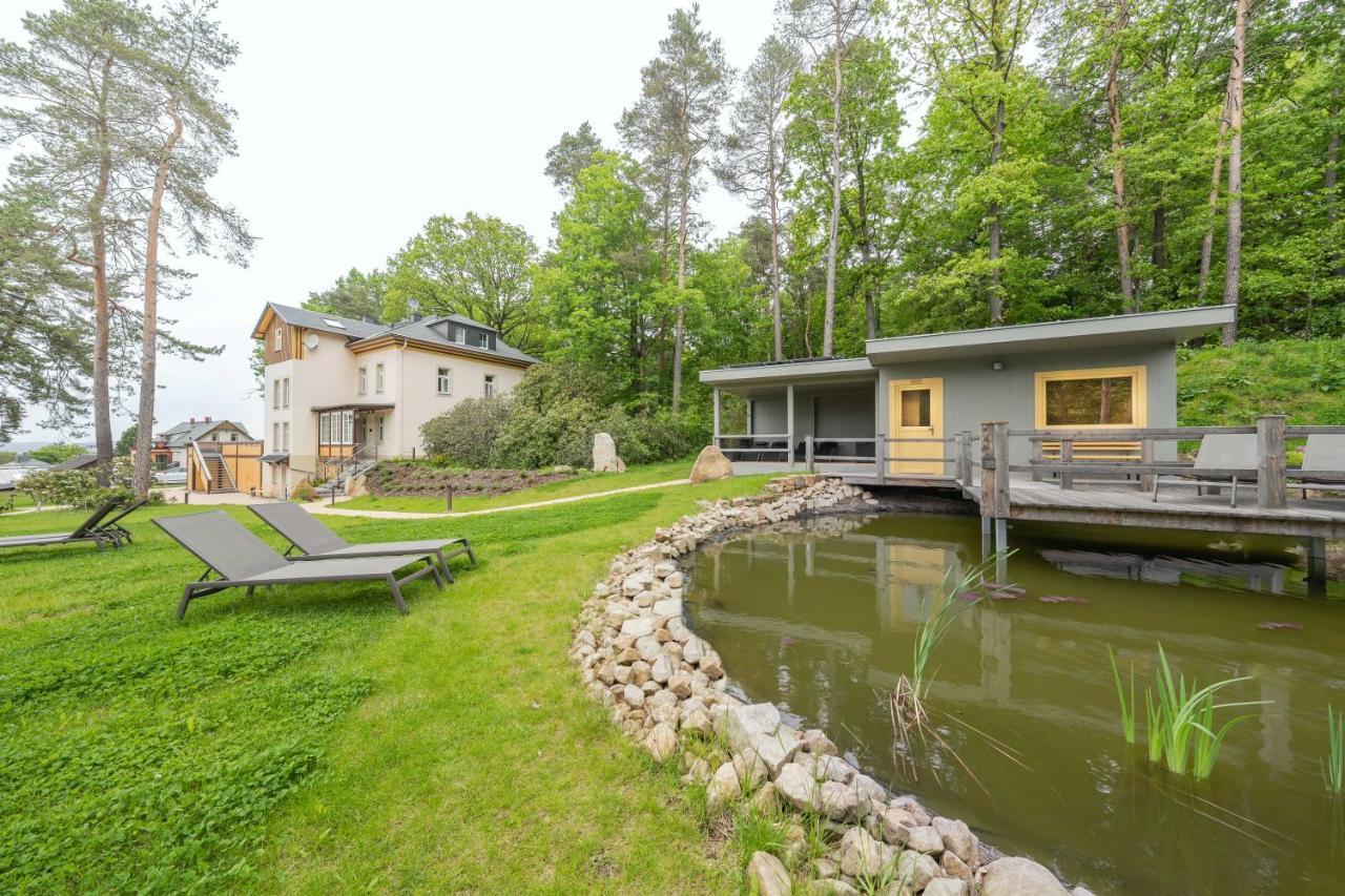 Waldidylle Gohrisch, Pension Und Ferienwohnungen Экстерьер фото
